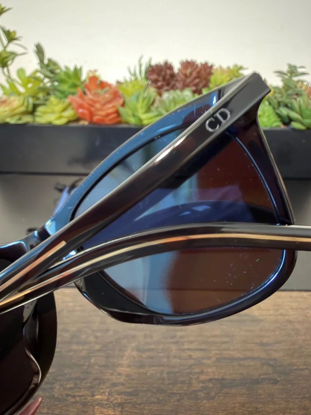 Christian Dior Homme Black Tie Sunglasses